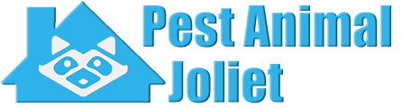 Joliet Wildlife and Animal Removal